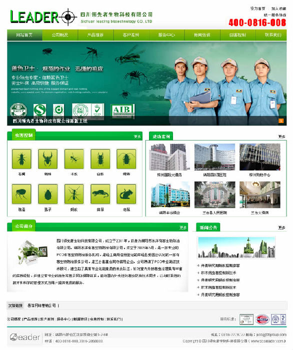 领先者网站首页效果图